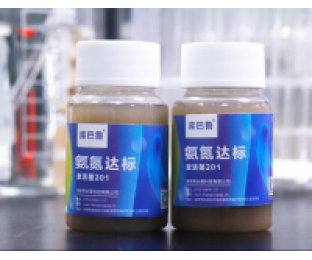 生化系統崩潰，氨氮超標，我該怎么辦?
